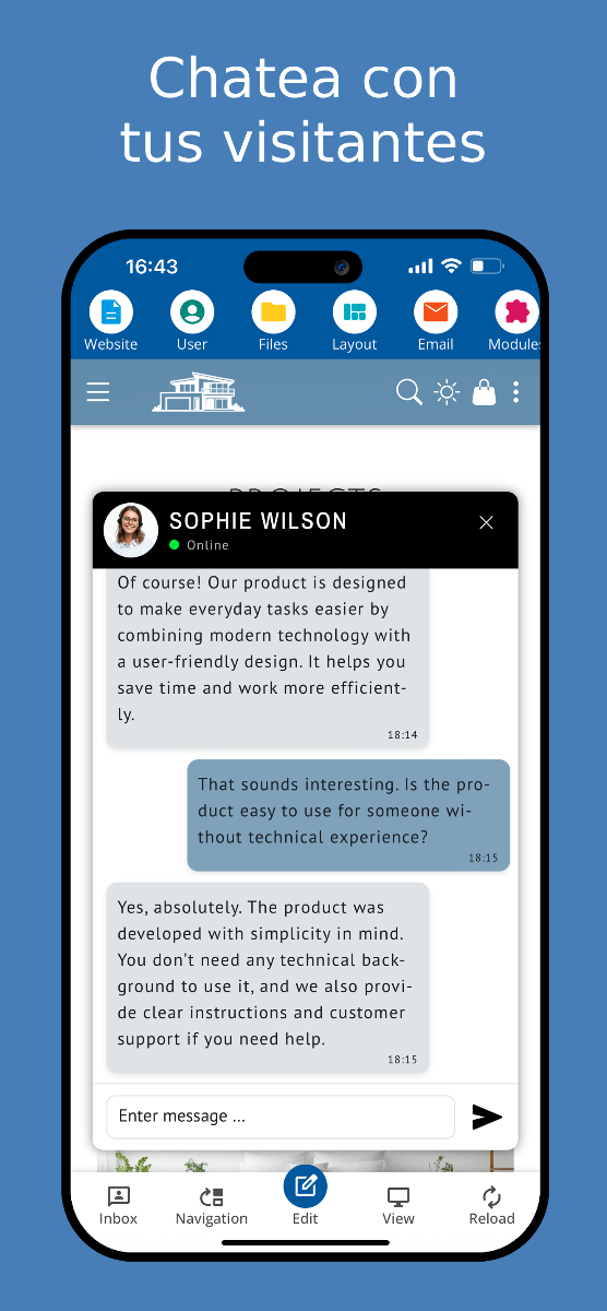 Chat en vivo con visitantes del sitio web – vista móvil.